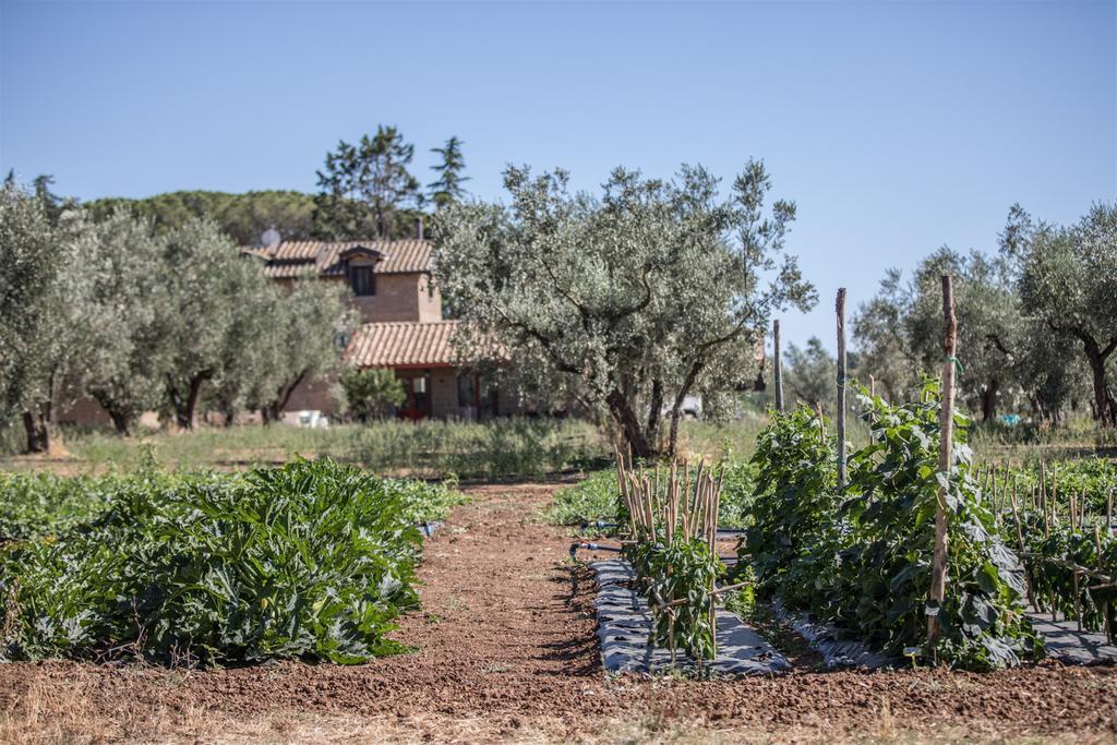 Traldi Resort Vetralla Εξωτερικό φωτογραφία